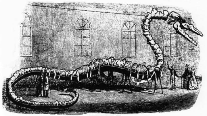 Albert Koch's 114-foot long "Hydrarchos" fossil skeleton.