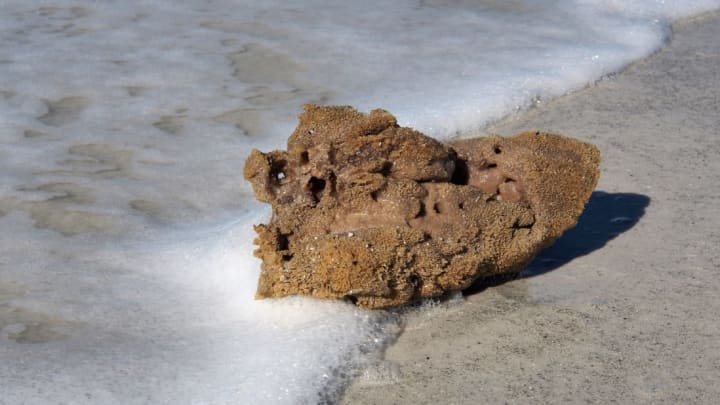 Thousands of Mysterious Yellow Sponges Wash Up On French Beaches