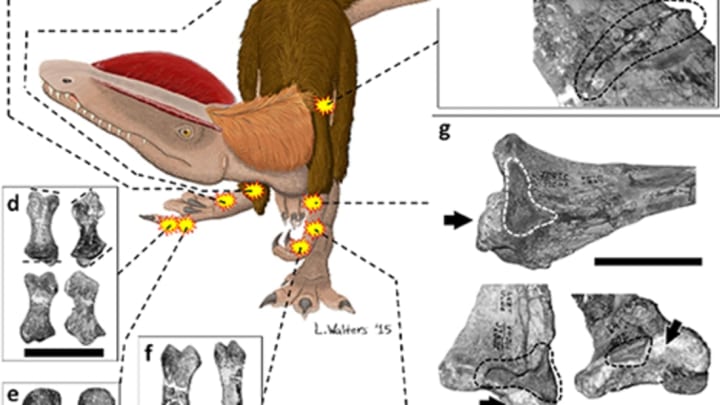 Senter et al. in PLOS One