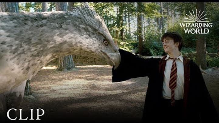 Meet Buckbeak | Harry Potter and the Prisoner of the Azkaban