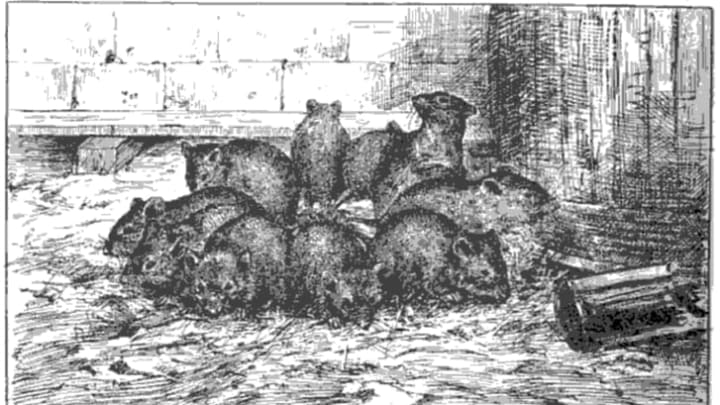An illustration from Henri Coupin's 1903 book Les Animaux Excentriques