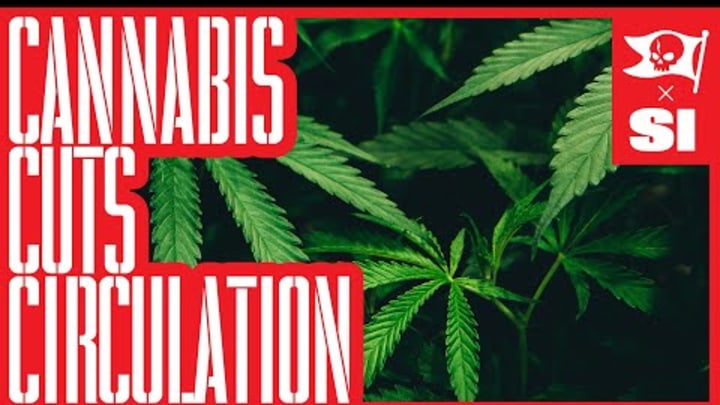 The Truth About Cannabis and Performance | Dr. Kirk Parsley Drops a Reality Check
