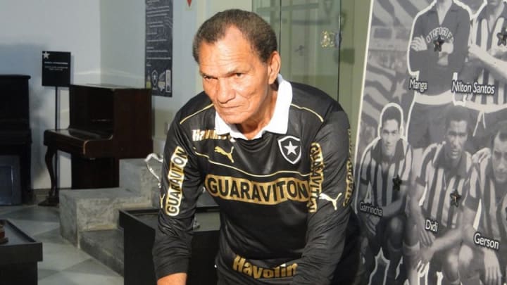 Manga, goleiro do Botafogo