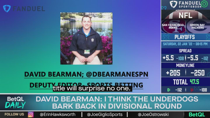 Underdogs Will Bark Back In NFL Divisional Round - Bet QL Underdogs Will Bark Back In NFL Divisional Round - Bet QL