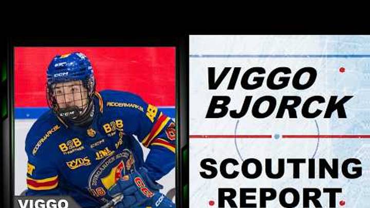 VIGGO BJORCK SCOUTING REPORT VIGGO BJORCK SCOUTING REPORT