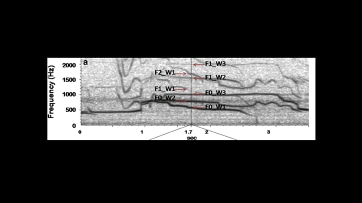 Passilongo et al. Frontiers in Zoology