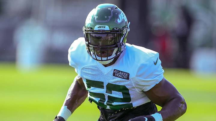Ex-NFL Linebacker Anthony Wint Is Ready for His UFC Debut