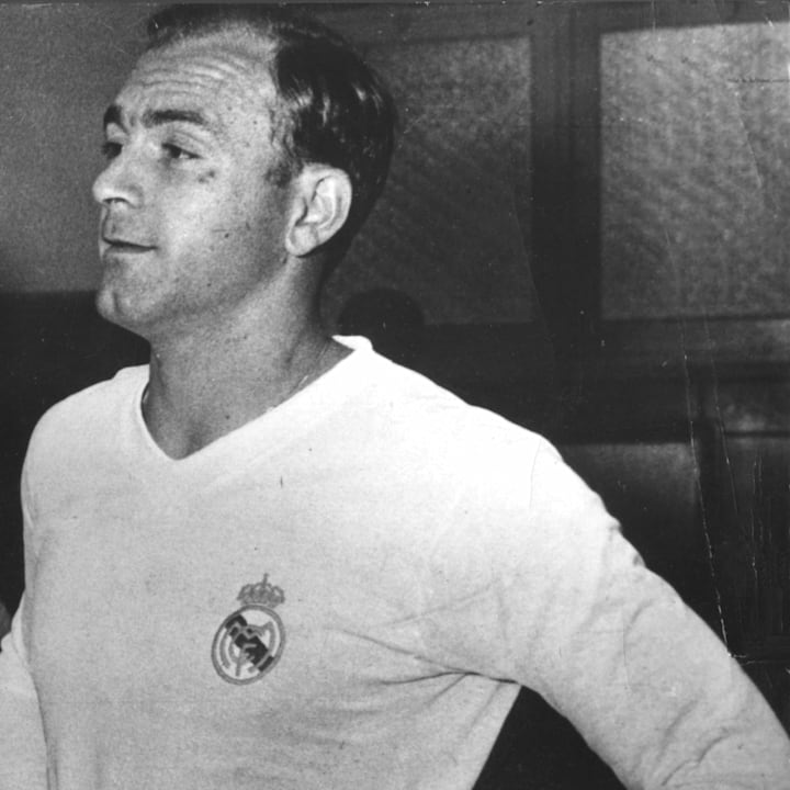 PORTRAIT DI STEFANO
