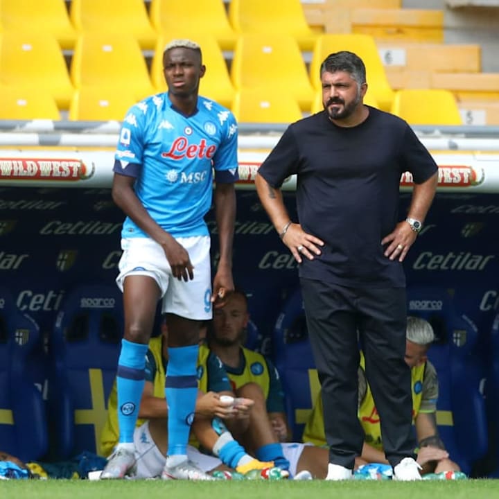 Gattuso con Osimhen