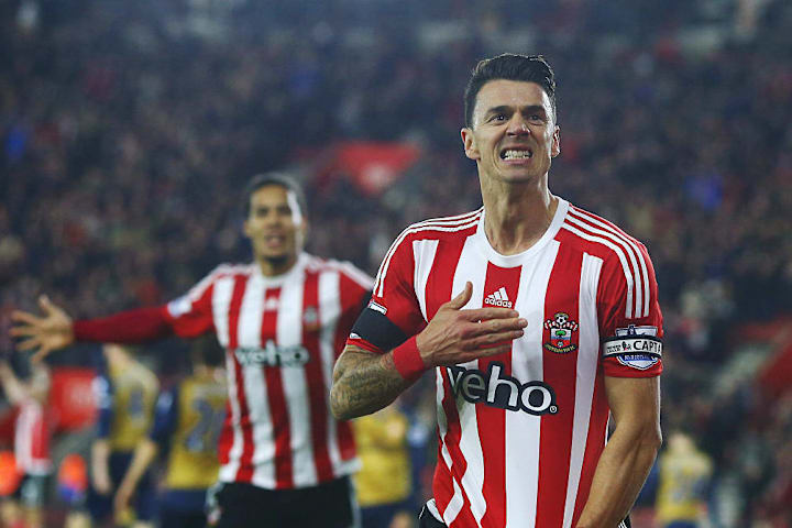Jose Fonte / Southampton