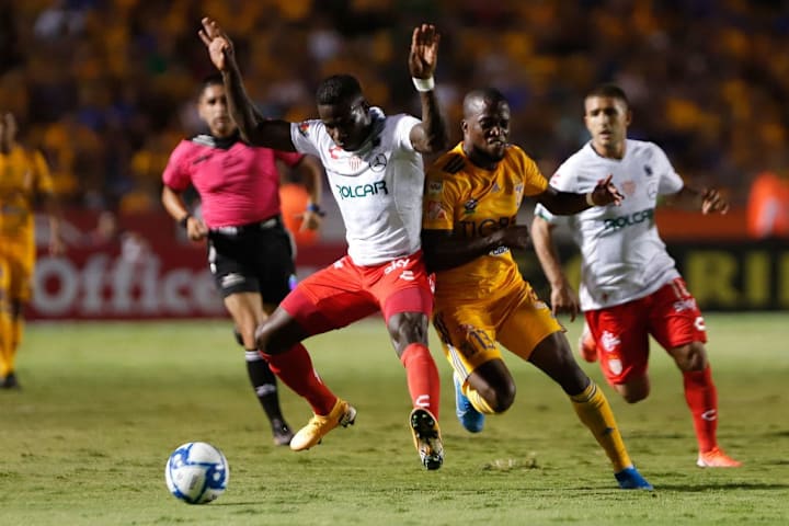 Tigres UANL v Necaxa - Torneo Apertura 2019 Liga MX