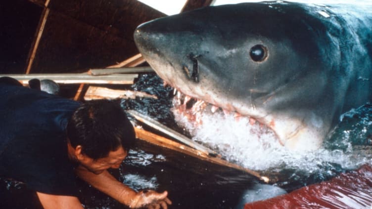 Roy Scheider battles his nemesis in Jaws.