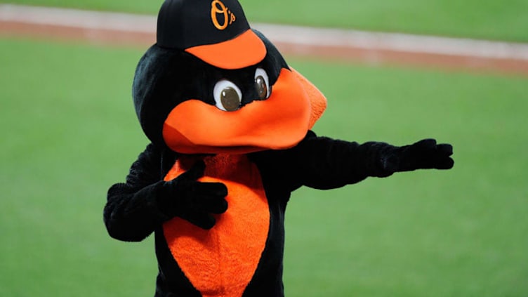 BALTIMORE, MD - JUNE 16: The Baltimore Orioles mascot performs during the seventh inning of the game against the St. Louis Cardinals at Oriole Park at Camden Yards on June 16, 2017 in Baltimore, Maryland. (Photo by Greg Fiume/Getty Images)