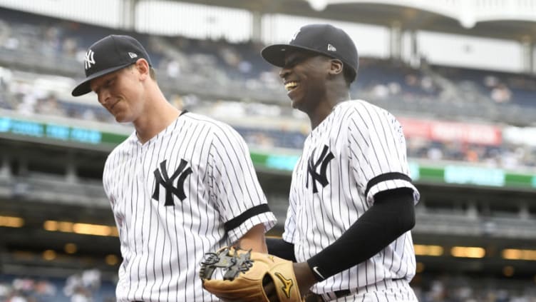 NEW YORK, NEW YORK - JULY 18: DJ LeMahieu #26 (L) and Didi Gregorius #18 of the New York Yankees walk off the field. (Photo by Sarah Stier/Getty Images)