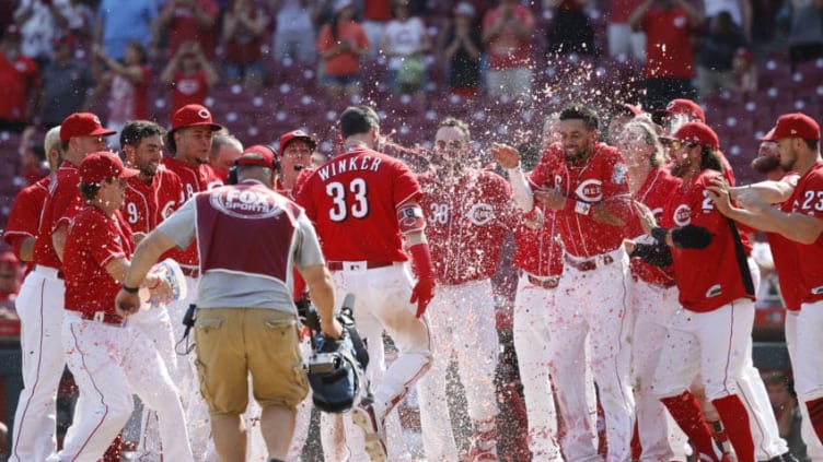 CINCINNATI, OH - JUNE 07: Cincinnati Reds (Photo by Joe Robbins/Getty Images)