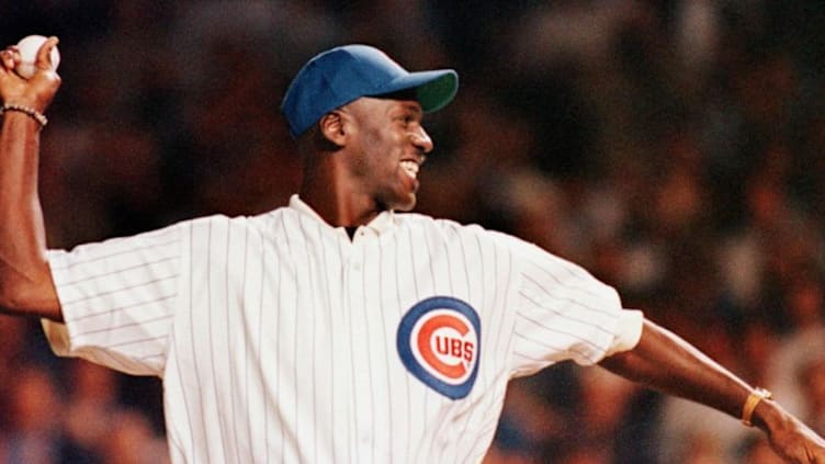 Michael jordan baseball years top
