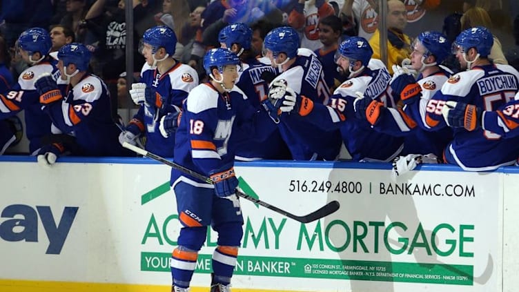 Jan 27, 2015; Uniondale, NY, USA; New York Islanders center Ryan Strome (18) celebrates his goal against the New York Rangers with teammates during the third period at Nassau Veterans Memorial Coliseum. The Islanders defeated the Rangers 4-1. Mandatory Credit: Brad Penner-USA TODAY Sports