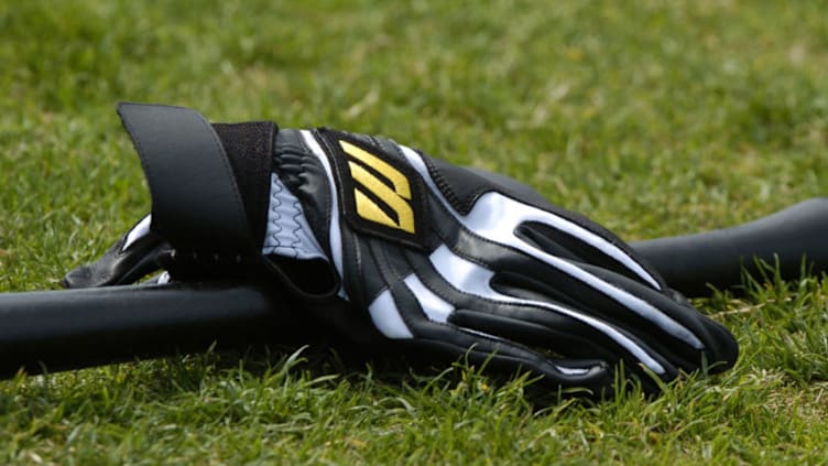 A batting glove rests in the grass ready for action during a spring training workout February 21, 2005. (Photo by A. Messerschmidt/Getty Images) *** Local Caption ***