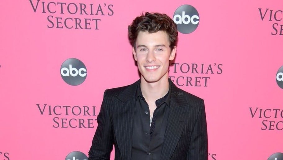 Quiz Did Shawn Mendes Post This On Instagram Floor8