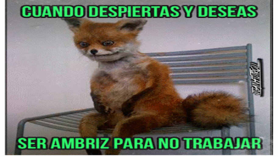 Para Morirse De La Risa Los Mejores Memes De La Despedida De Ignacio Ambriz 90min