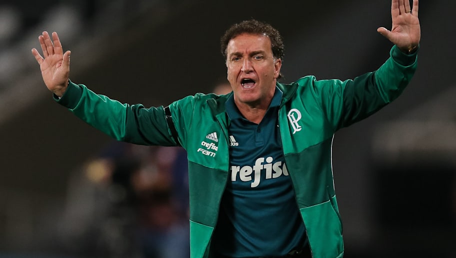 Palmeiras já tem data definida para resolver futuro de ...