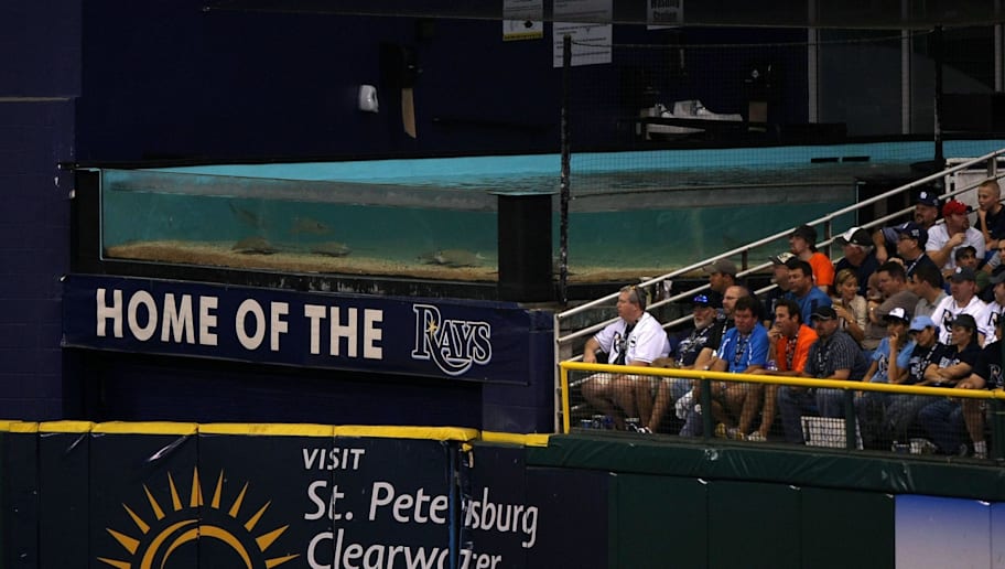 Peta Issues Complaint To Rays About Touch Tank 12up