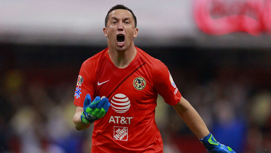 marchesin jersey america