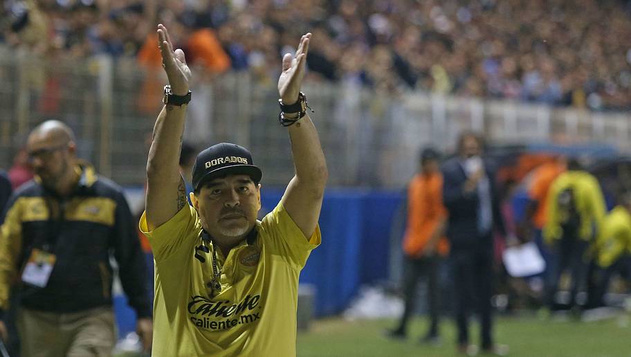 Resultado de imagen para DIEGO SEGUIRA EN DORADOS ?
