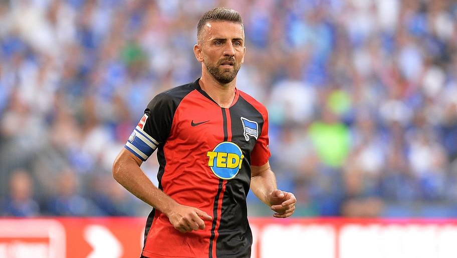 Vedad Ibisevic