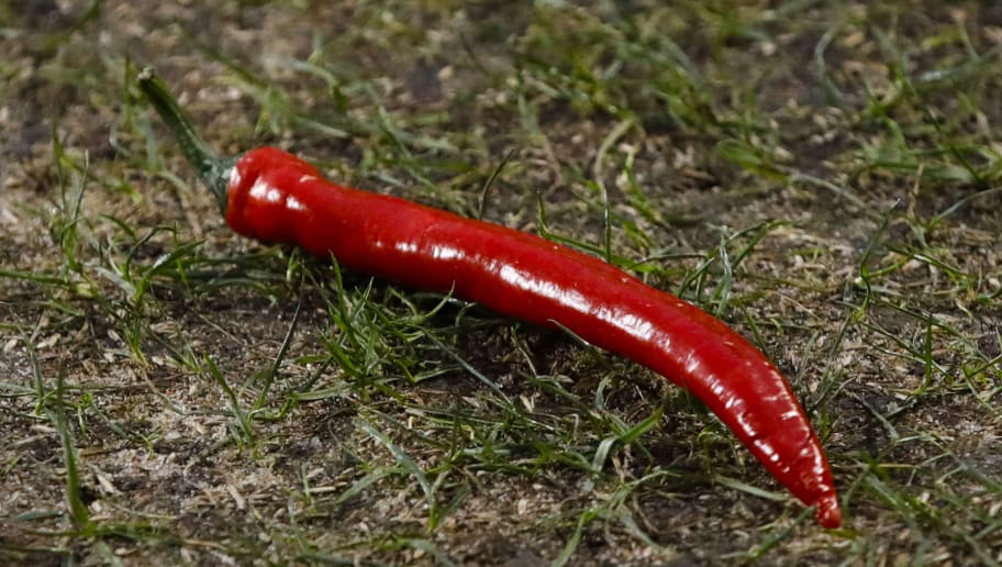 ENSCHEDE, NETHERLANDS - MARCH 17: Red peppers on the pitch by supporters of FC Twente
 during the Dutch Eredivisie  match between Fc Twente v Willem II at the De Grolsch Veste on March 17, 2018 in Enschede Netherlands (Photo by Geert van Erven/Soccrates/Getty Images)