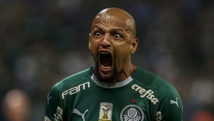 pitbull mordeu felipe melo e provocado