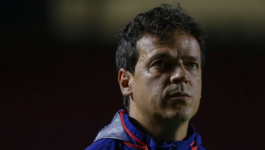 São Paulo versão 2020, Diniz revela qual projeto irá montar