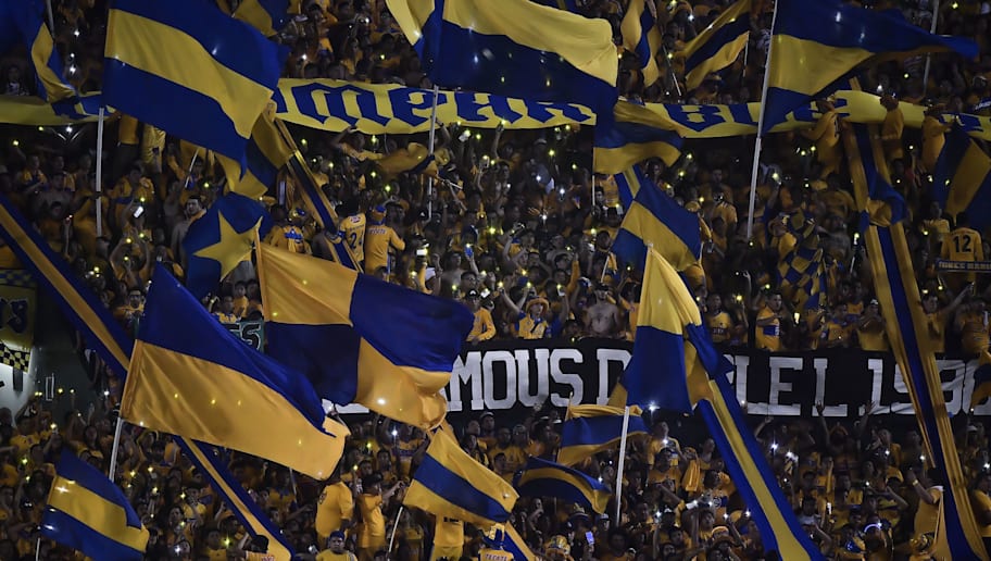 Tigres abrirá el entrenamiento el próximo martes a sus ...