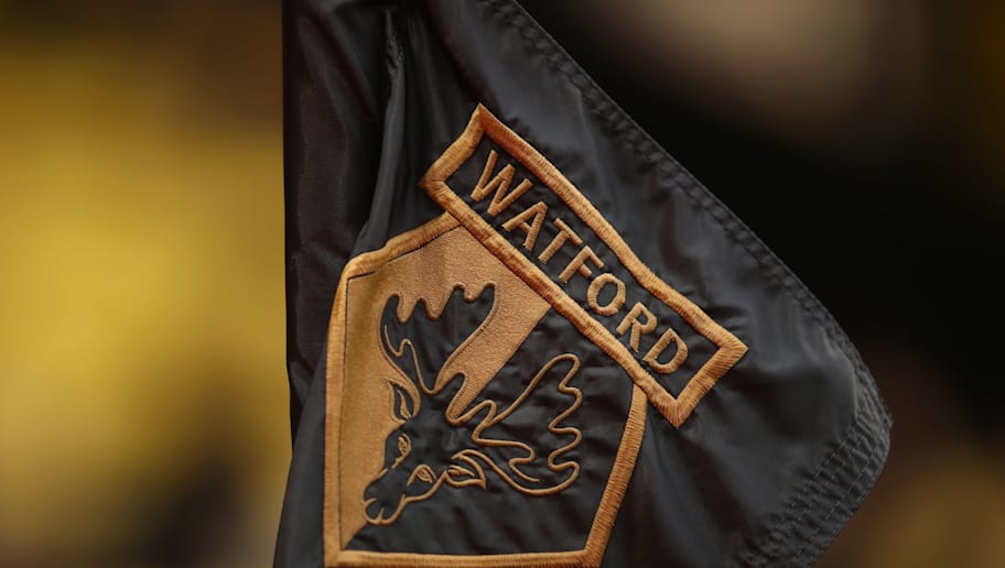 Watford FC v Southampton FC - Premier League
