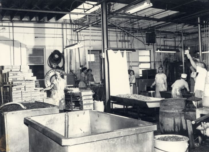 A black-and-white photo of factory workers packing peppers