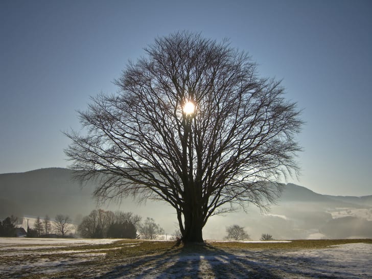25 Facts About The Winter Solstice The Shortest Day Of The Year