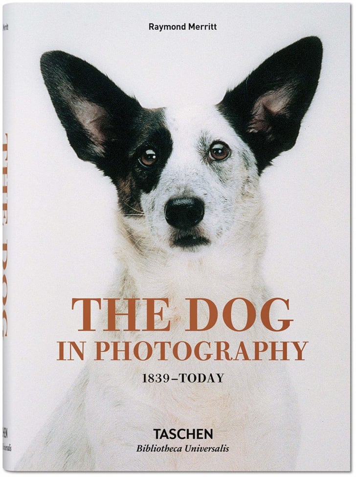 An image of the cover of the book The Dog in Photography.