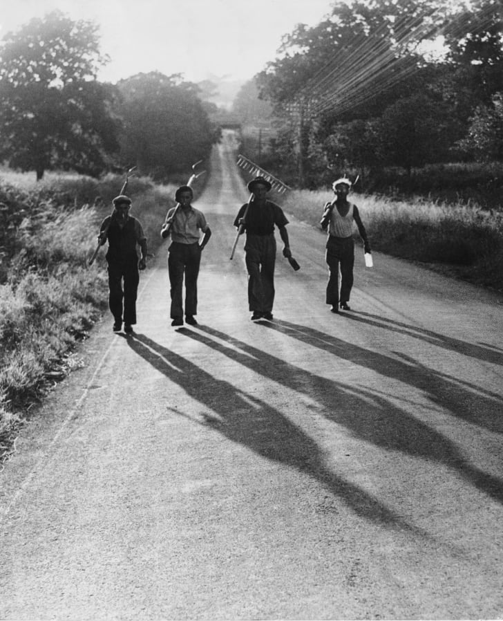 Farm laborers returning home at the end of a day, July 1947.
