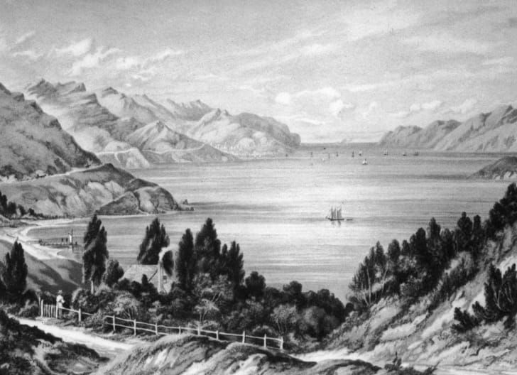An 1877 lithograph by W.D. Bletchley of Lyttelton Harbour, an inlet in Banks Peninsula on the coast of Canterbury, New Zealand.