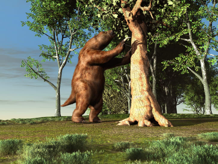 Illustration of a giant sloth