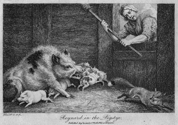 Entitled 'Reynard In the Pigstye,' circa 1737; a woman and her sow chase out a fox attacking piglets in a sty.