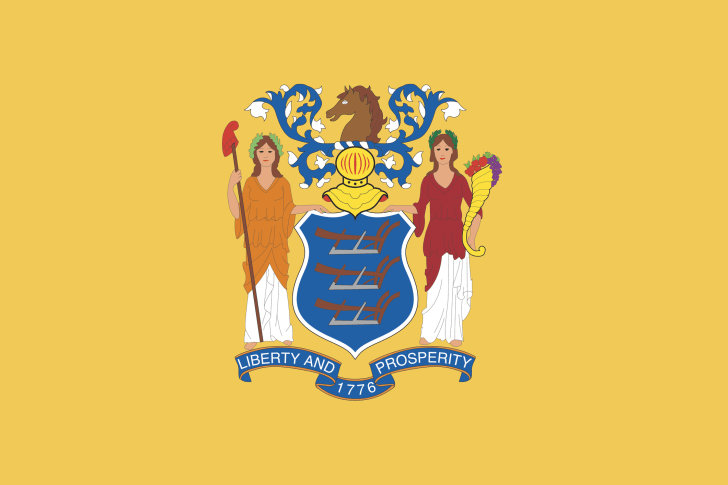 New Jersey flag