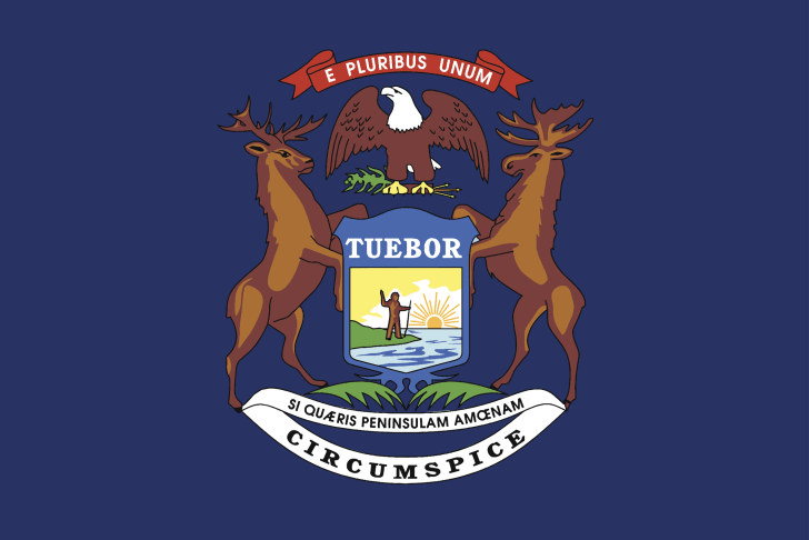 Michigan flag