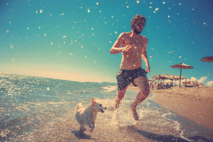 Man running in surf with dog.