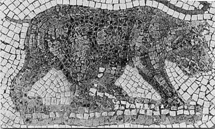 A Roman mosaic of the extinct Atlas bear.