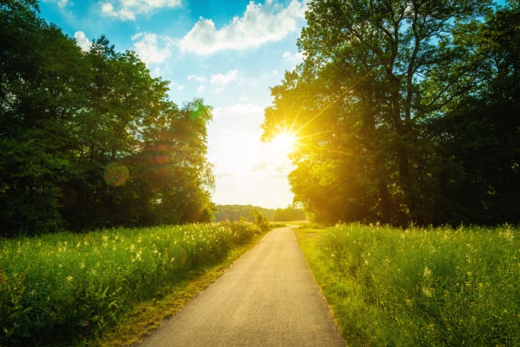 road and field on a sunny day