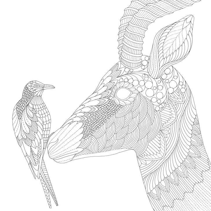 Download 13 Stunningly Beautiful Coloring Books For All Ages Mental Floss