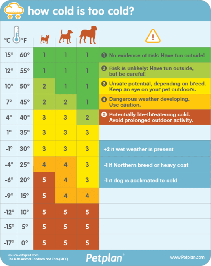 Dangerous Food For Dogs Chart