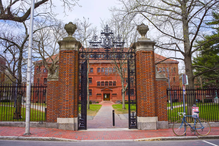 Photo of Harvard University.