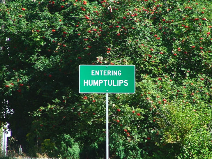 humptulips washington